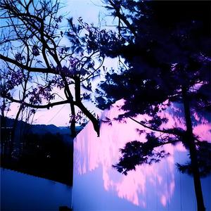 无码中文资源在线播放
