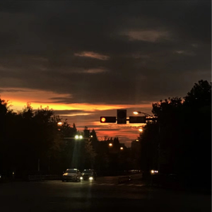 无码中文资源在线播放
