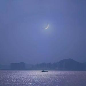 无码中文资源在线播放
