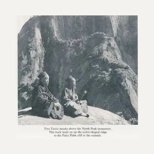 无码中文资源在线播放
