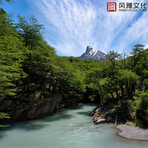 无码中文资源在线播放
